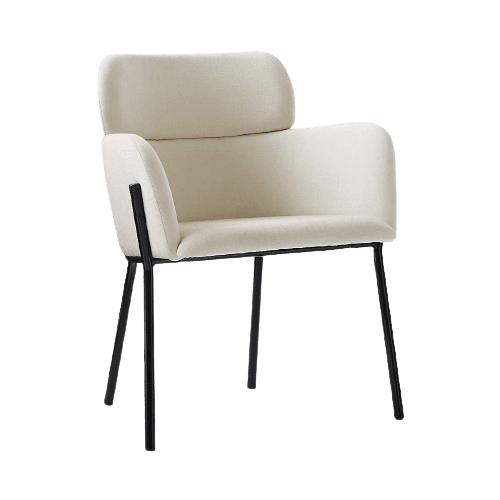 Bouncer Chair